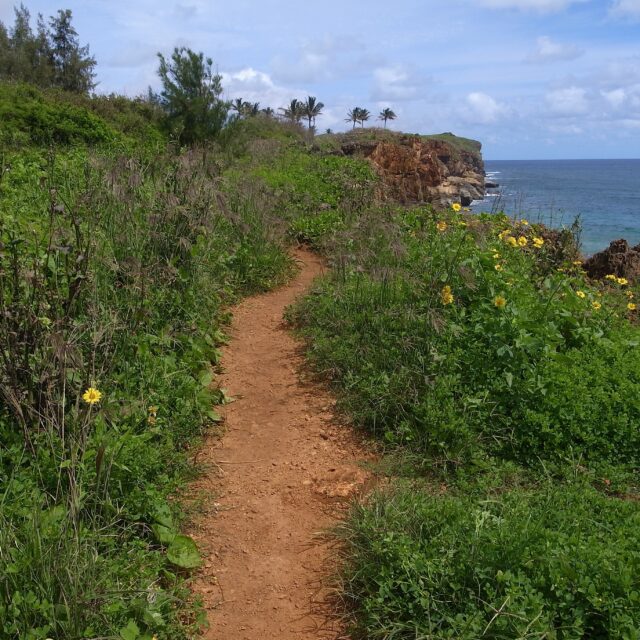 秋田市文化創造館ラジオ公開収録「管啓次郎さんのお話〜白神山地を歩く」