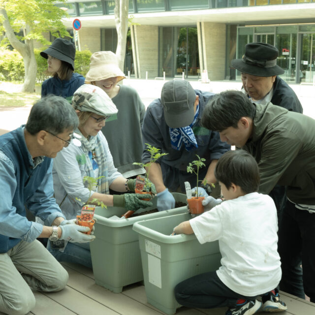 おやさい隊『植え付け第二回』参加者募集！