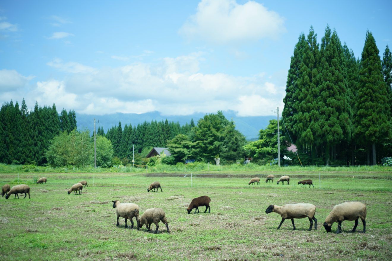 あきた牧場 | 秋田の人々 | 秋田市文化創造館