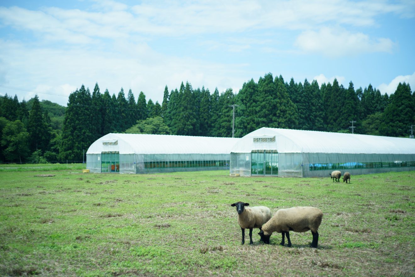 あきた牧場 | 秋田の人々 | 秋田市文化創造館