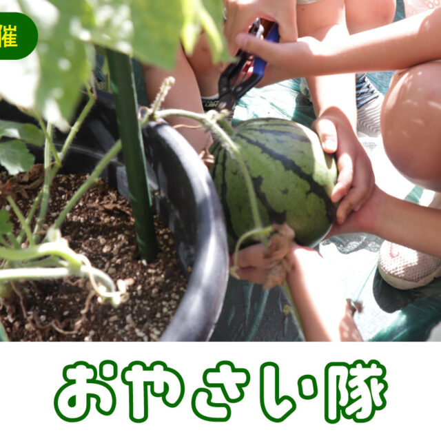 おやさい隊　2026年度メンバー募集！