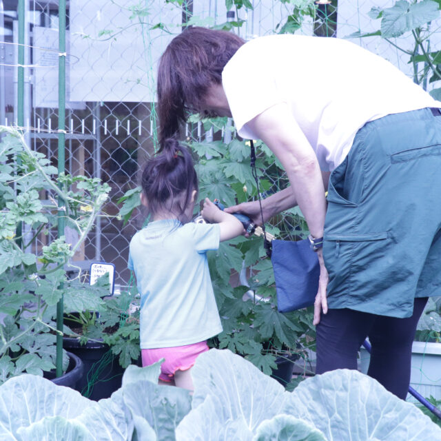 みんなのはたけ「夏の収穫祭」参加者 募集！（野菜協働栽培）