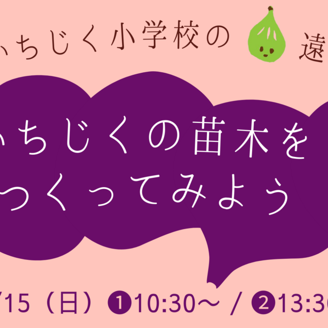 いちじくの苗木をつくろう
